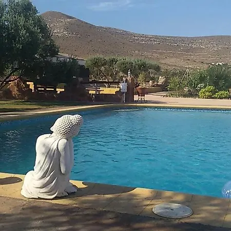 Olivares Rural Los Albaricoques