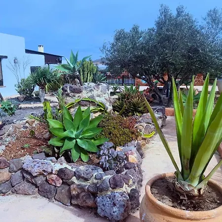 Olivares Rural Apartment