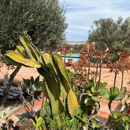 Olivares Rural Apartment