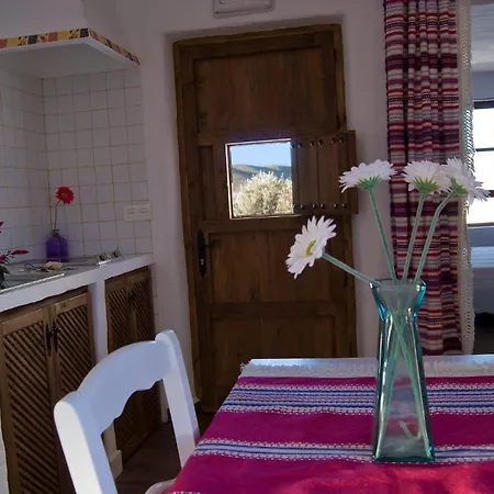 Olivares Rural Apartment Los Albaricoques