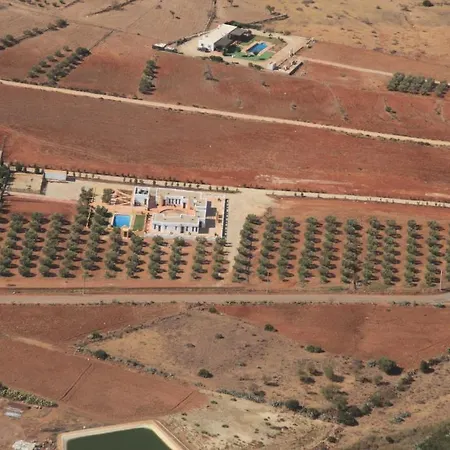 Olivares Rural Apartment