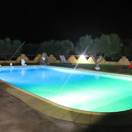 Olivares Rural Los Albaricoques